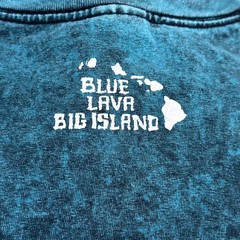 Blue Hawaiian Sea Turtle Motif Graphic T-Shirt Size XL Men’s Casual Summer Beach
