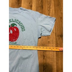 Mens Shirt Men’s Medium? Red Blue Green I’m Delicious Bayfield Apple Festival