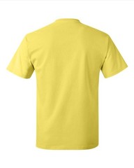 Hanes 5250 4XL Authentic Short Sleeve Men’s Cotton T-Shirt Yellow Pit to Pit 29″