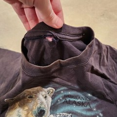 VTG Y2K Polar Bear Fairbanks Alaska Mens L Large? Distressed Faded T Shirt