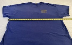 Patriotic Ronald Reagan Freedom Quote 3XL Eagle Flag Gildan Blue Graphic Tshirt