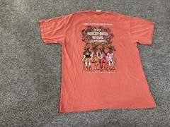Comfort Colors Shirt Mens Medium Pink Lambda Chi & Sigma Chi Fallfest 2016 Tee