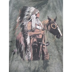The Mountain Native American Warrior Chief Horse Tie Dye Graphic T-Shirt Mens L