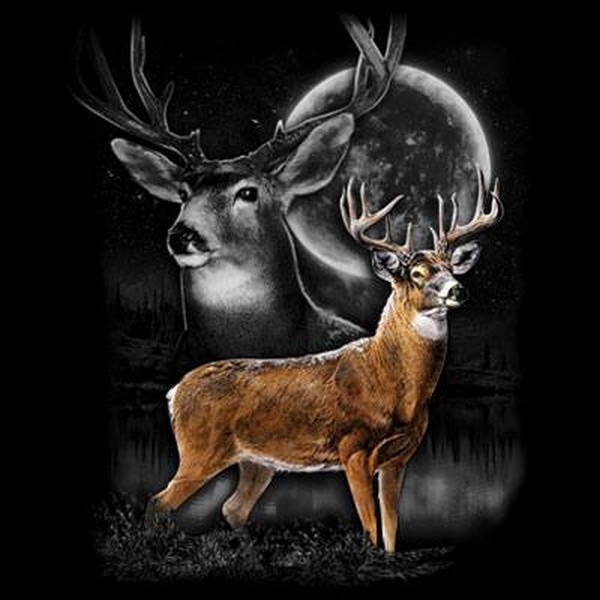 Deer Wilderness T Shirt Choose Style & Size Up to 4XL 10478
