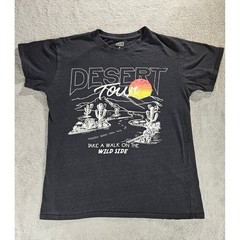 Brisco Brands Desert Tour Graphic T-Shirt Black Wild Side Road Trip Mens Medium