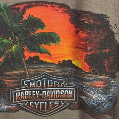 Harley-Davidson olive green graphic tshirt. Sz XL. From Pensacola FL. 2007.