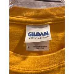 Gildan Iowa Hawkeyes T Shirt Mens Large Yellow Gold NCAA Collegiate Graphic Tee