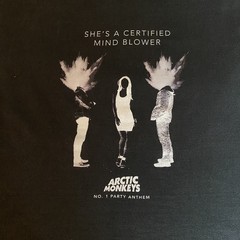 Arctic Monkeys Vintage 2013 Album AM Band T Shirt Alex Turner Rock Tee Rare Y2K