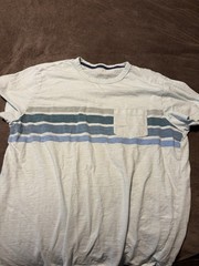 Gap Mens Vintage Pocket Short Sleeve Tshirt Everyday Light Green Striped Size L