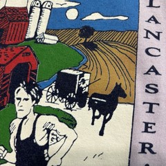 Vintage Running Marathon Race T-shirt Amish Country Lancaster Pa Long Sleeve L