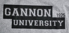 Gannon University T-Shirt Sz Large Golden Knights Erie Pennsylvania GU Tee