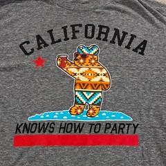 Riot Society Graphic T-Shirt Mens Large Gray California Party Bear
