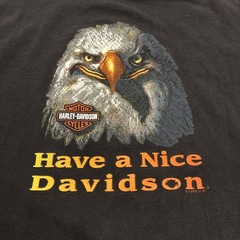 Vintage 1999 Harley Davidson Eagle Have a Nice Davidson T Shirt XXL Black Fade