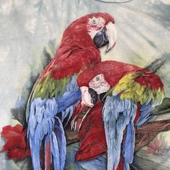 The Mountain Tie Dye Parrot T-Shirt Large Blue Birds Art Colorful