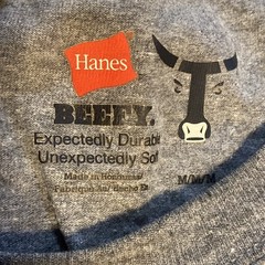 VTG 90s Hanes Beefy Durable Soft Cotton Long Sleeve Grunge Boxy Blank T-Shirt M