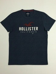 Hollister Men’s Applique Graphic T-Shirt Crew Neck Logo Tee Size XS S M L XL XXL