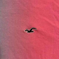 Hollister Men Soft Graphic Tee Large