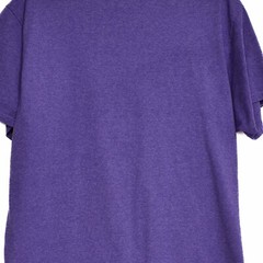 Port & Company Mens Purple Graphic T Shirt Colorado Springs Crew Short Sleeve L