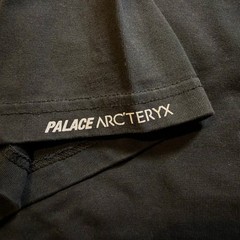 Arcteryx Palace T-Shirt Mens XL Black Tri-Ferg Logo Gorpcore Streetwear Tee