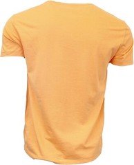 Polo Ralph Lauren Crew Neck Modern Classic-Fit T-Shirt Mens ORANGE GREEN PONY