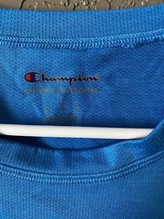 (2) Champion Mens Crew Neck T Shirt Short Sleeve T-Shirt LARGE gray / blue