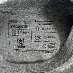 Patagonia Responsibili-Tee Men’s Gray Bison Graphic Crew Neck Long Sleeve M