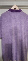 BCG Men’s Polo Golf Shirt 2XL Purple Striped