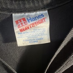 Vintage Hanes Heavyweight Mens XXL Black Roan Mountain State Park Graphic shirt