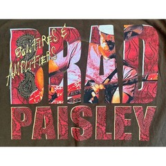 Vtg Brad Paisley Bonfires & Amplifiers 2007 Tour Shirt Mens Small Brown Concert