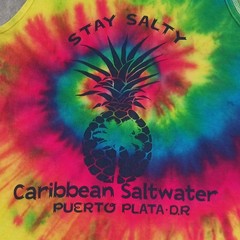 Colortone Men’s Multicolor Tie Dye Pineapple Graphic Tank Cotton Crew Neck M