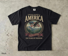 America 250th Anniversary 90s Graphic Style Comfort Colors Tshirt FREESHIP