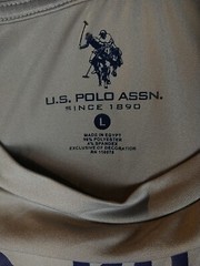 US Polo Assn. Gray T-Shirt (Men Size L Large) USPA Polyester Flag Sports