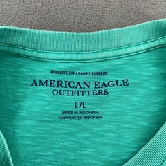 American Eagle Outfitters T Shirt Mens Large Aqua Embroidered Logo Athletic Fit