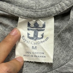 Royal Caribbean T-Shirt Mens Size M Gray Tropical Fish Graphic Cruise Panama