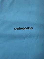 Patagonia Men’s L Long-Sleeved Capilene Cool Daily Shirt 0062
