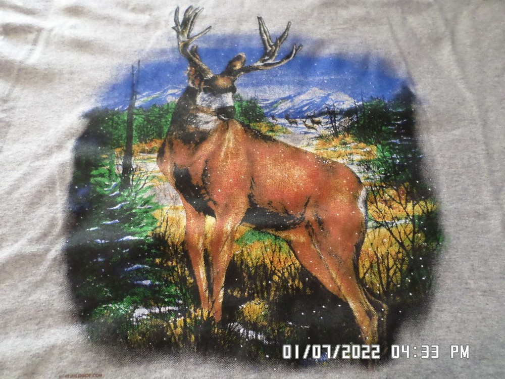 NEW Deer Hunting T-Shirt: Large Buck with Snow Falling (LOTS of Colors & Sizes)
