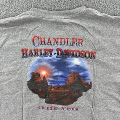 Vtg Harley-Davidson Motorcycles Mens XL Gray Pocket T Shirt Chandler Arizona Y2K