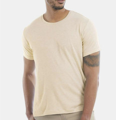 Hanes Brand Alternative Apparel Tee Shirts Men New