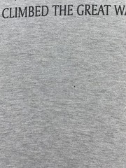 I Climbed the Great Wall Of China Tourist Souvenir Shirt Med – Large Gray