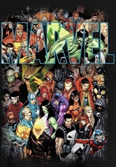 Marvel Comics Men’s XXL Character Collage Print T-Shirt Gray Mad Engine Avengers