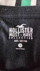 Hollister Must-Have Collection Tshirt Vertical Striped Black Green Mens Medium