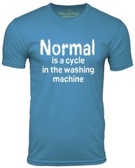 Normal is a Cycle in The Washing Machine Funny T Shirt Humor Tee