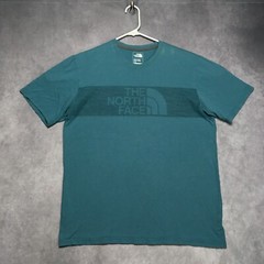 The North Face Mens Graphic T Shirt Adult size Large Teal Blue Short Sleeve Tee