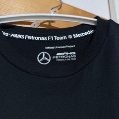 Mercedes-AMG Petronas F1 Team Official T-Shirt Size L Black