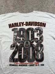 Harley-Davidson T-Shirt 105th Anniversary Men’s Size Large Gray Wisconsin