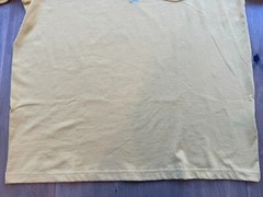 NWT Carhartt Loose Fit Heavyweight SS Pocket T-Shirt Irregular Men’s XLT Tall