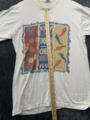 Vintage Fruit Of The Loom T Shirt Mens Large White Windy City Sports Chili Ride