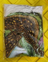 David Dunleavy Flounder Reef T-Shirt Men’s 3XL Natural Fishing Graphic Tee NWT