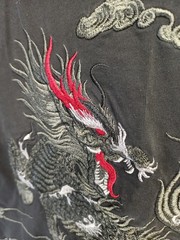 Fashion Dragon Trend Shirt Men’s Medium Embroidery Lined Short Sleeve Luxury