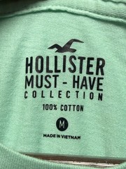 Hollister Must Have Collection T Shirt Mens Medium Mint Green Embroidered Logo